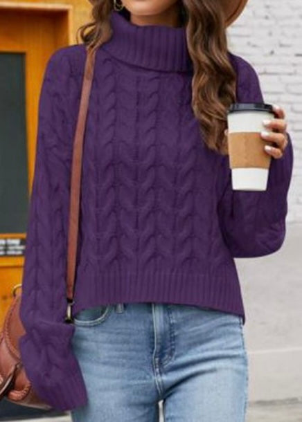 TURTLE NECK CABLE-KNIT OVERSIZED SWEATER in Multiple Colors